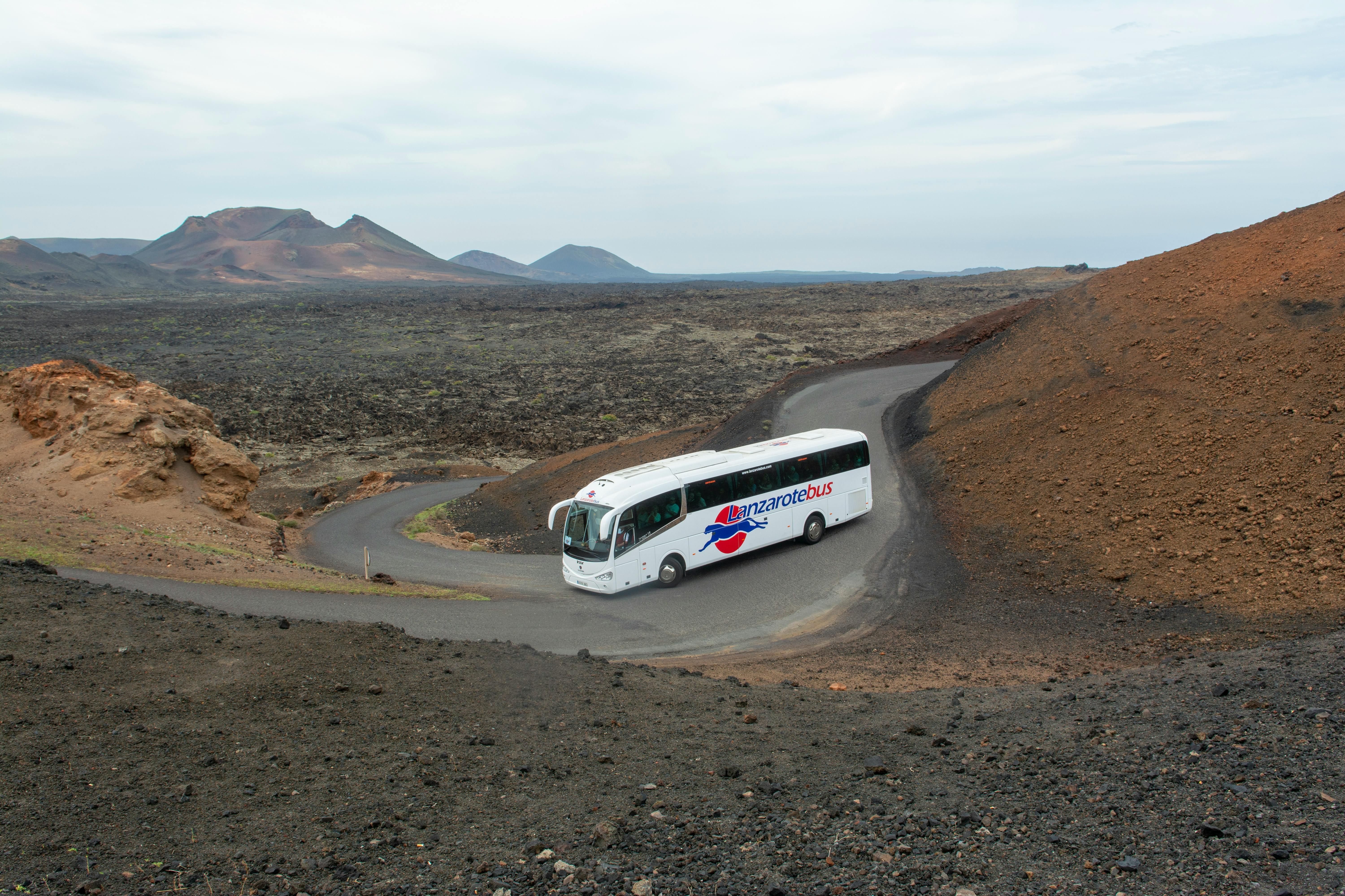 Europe by Bus: FlixBus, Eurolines, and Beyond