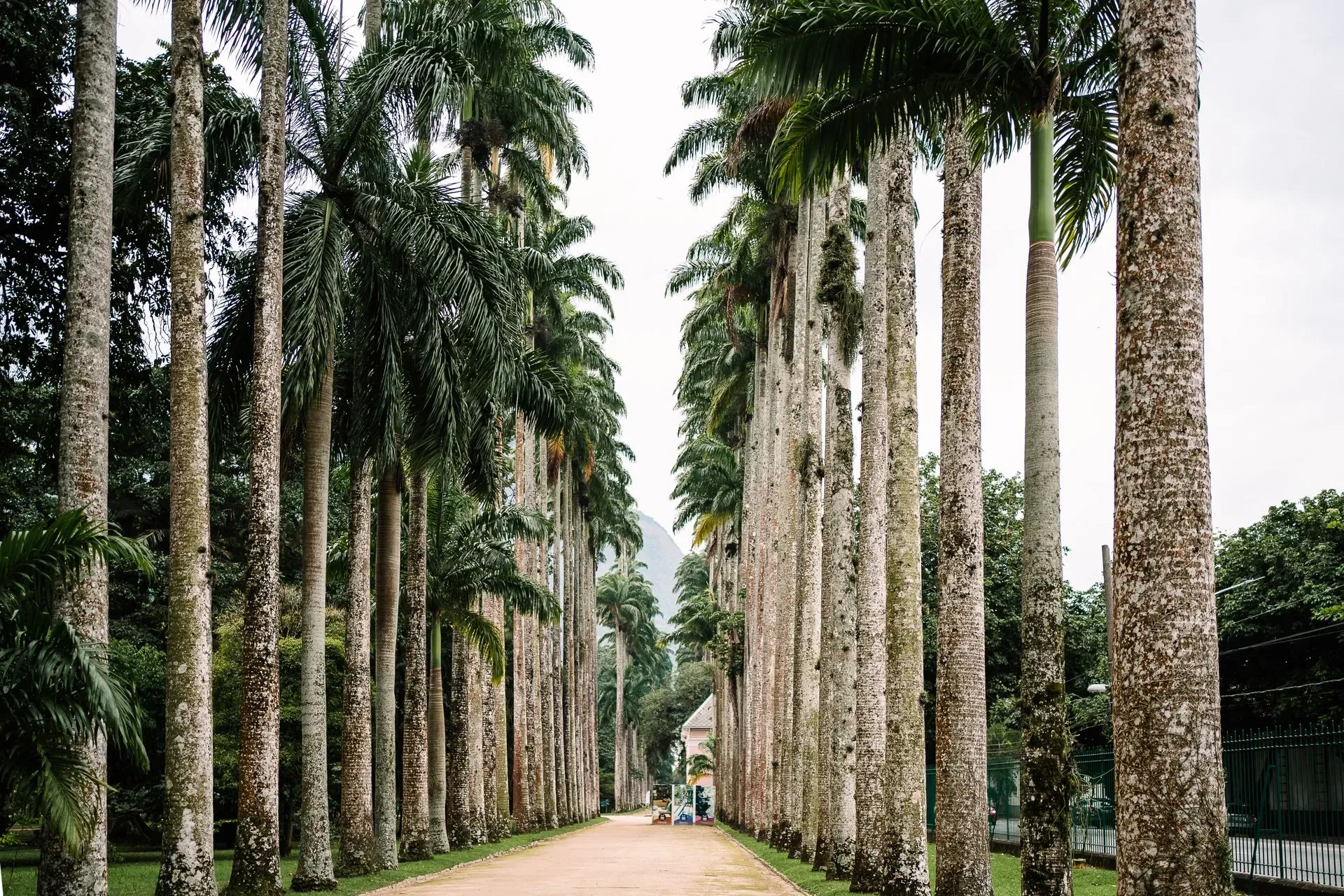 Rio Botanical Garden: Plan Your Visit