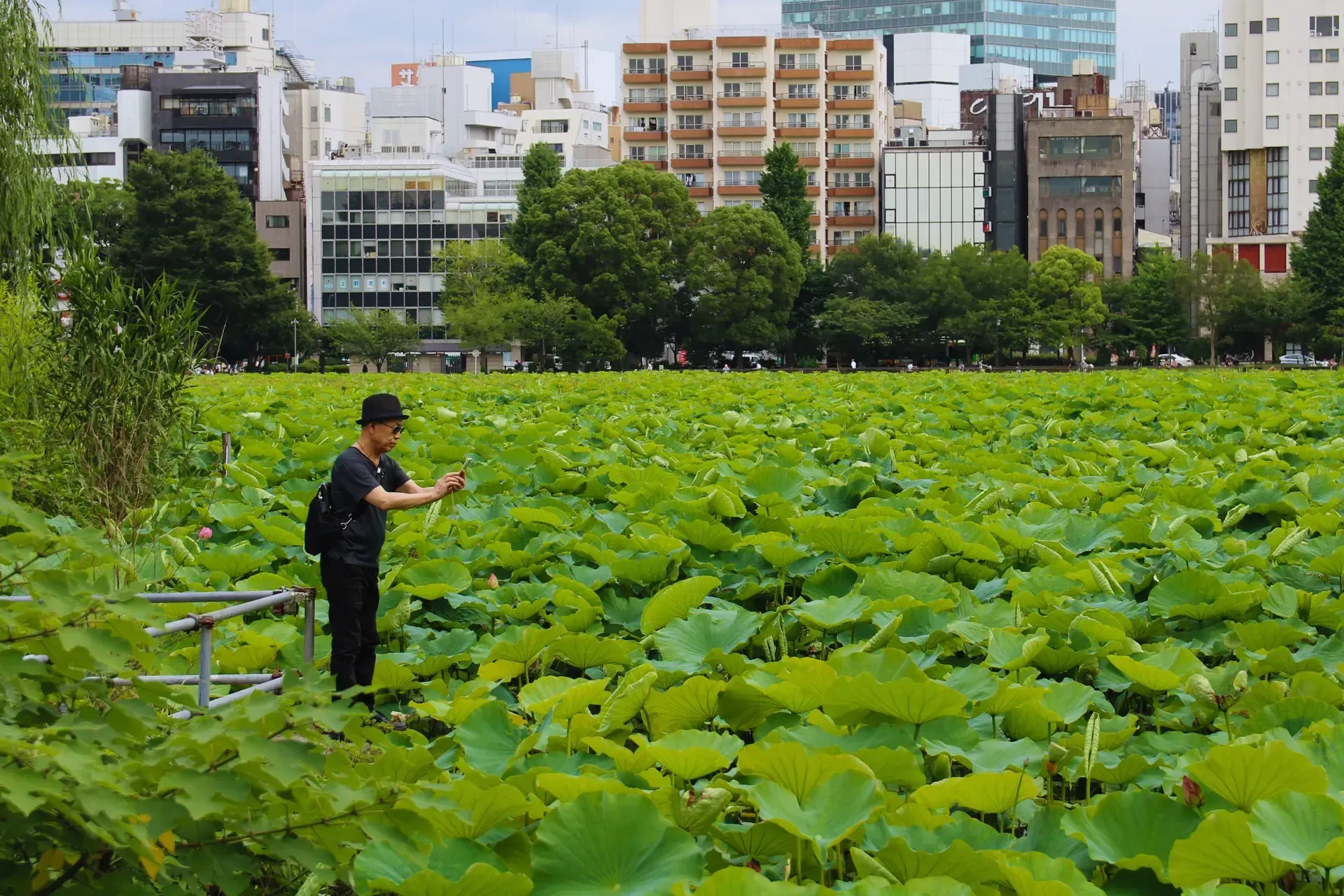 Parc d'Ueno : choisir musées et promenade