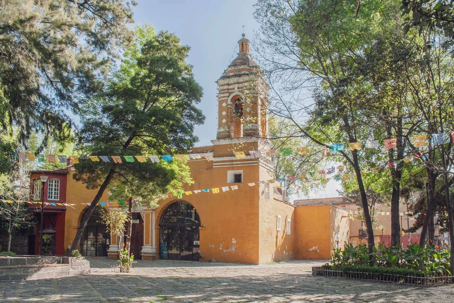 Coyoacán and Frida Kahlo: Plan Your Visit
