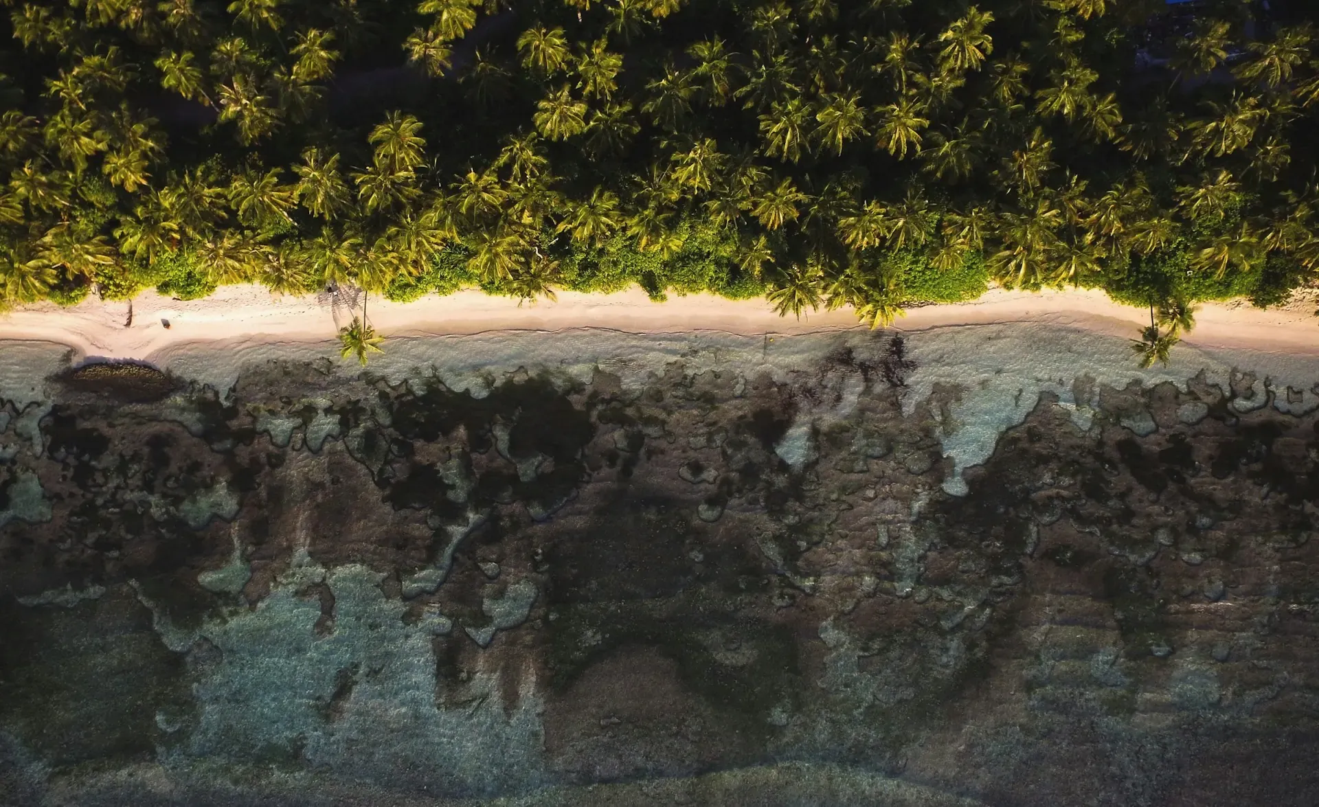 Dhigurah: organiza una estancia en una isla local