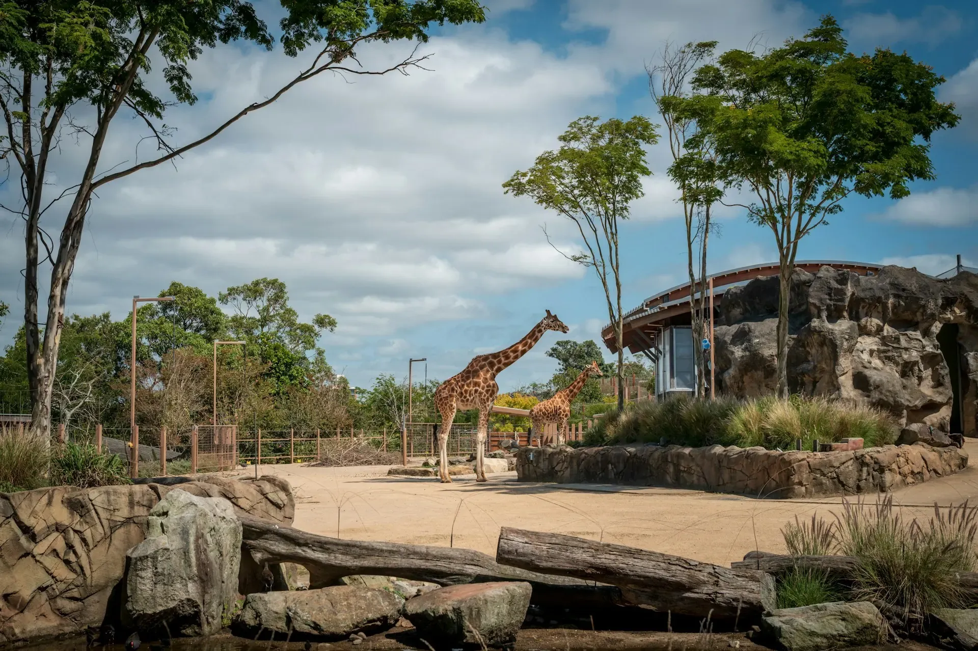 Taronga Zoo Sydney: Ferry, Tickets and Visit Plan