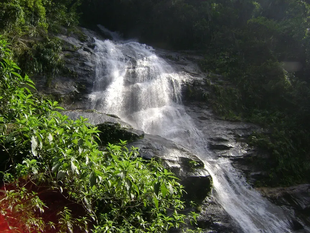 Tijuca Forest: Choose Your Day Out