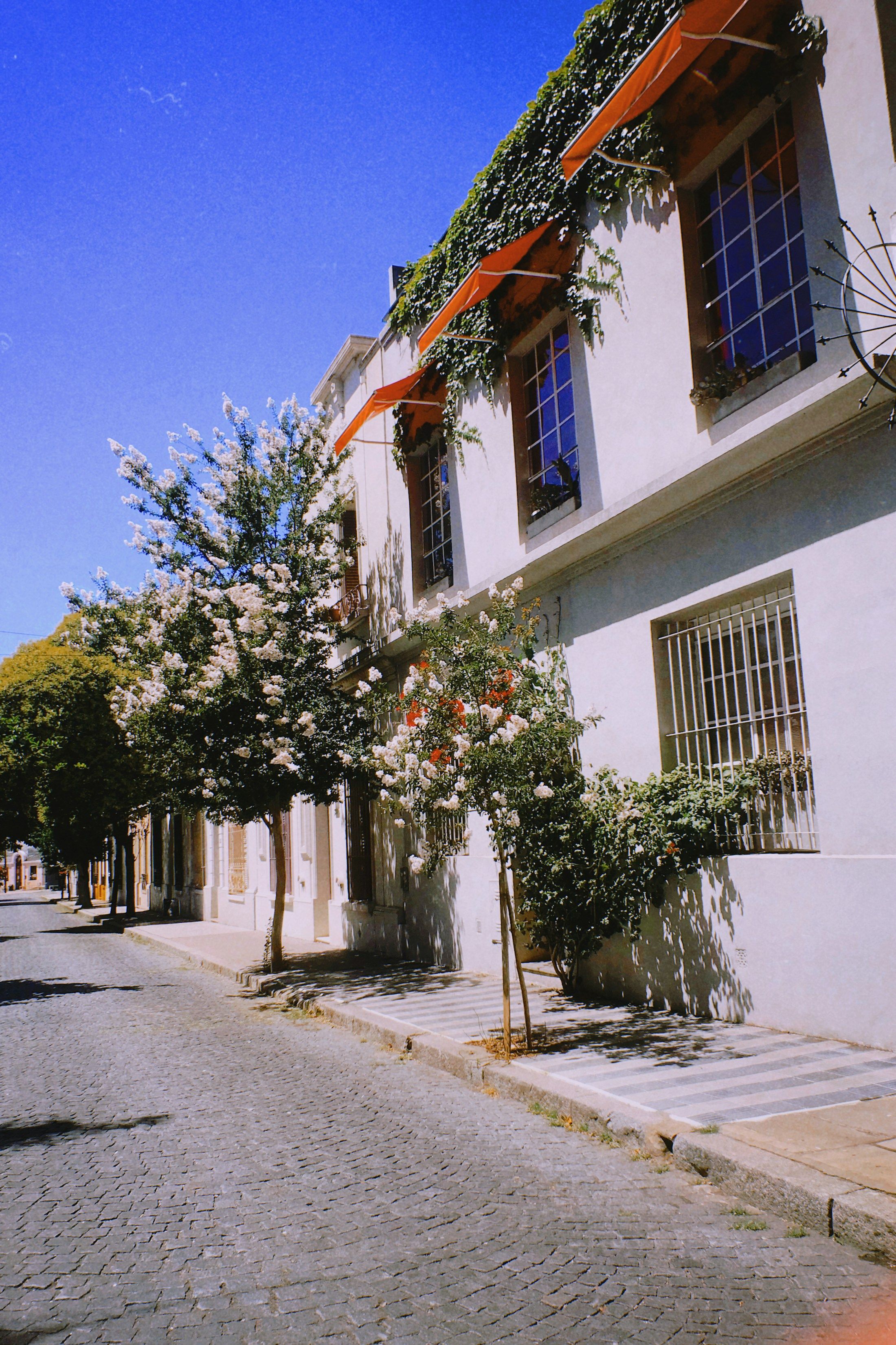 Palermo Buenos Aires: scegli la tua passeggiata