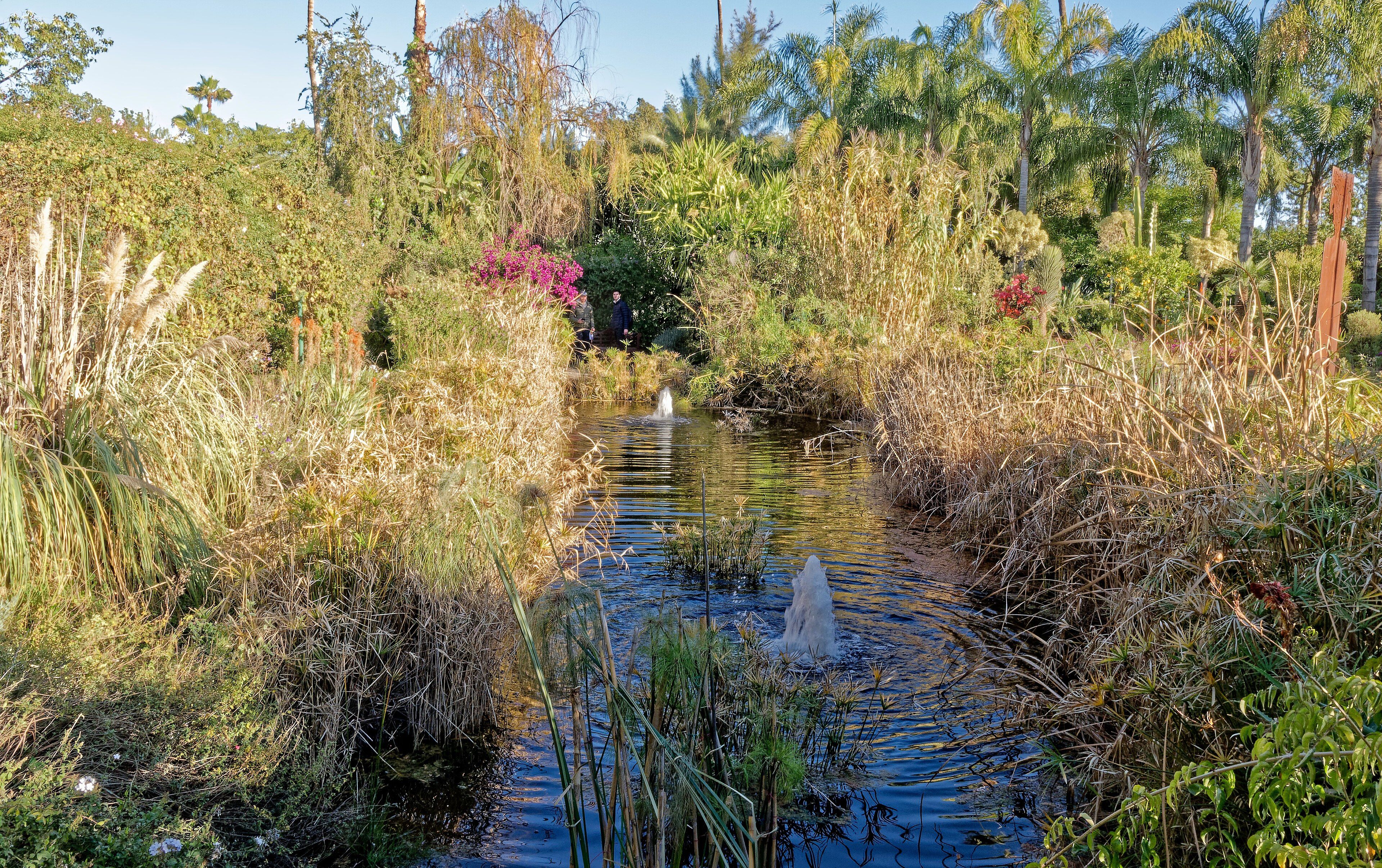 ANIMA Garden depuis Marrakech : préparer la visite