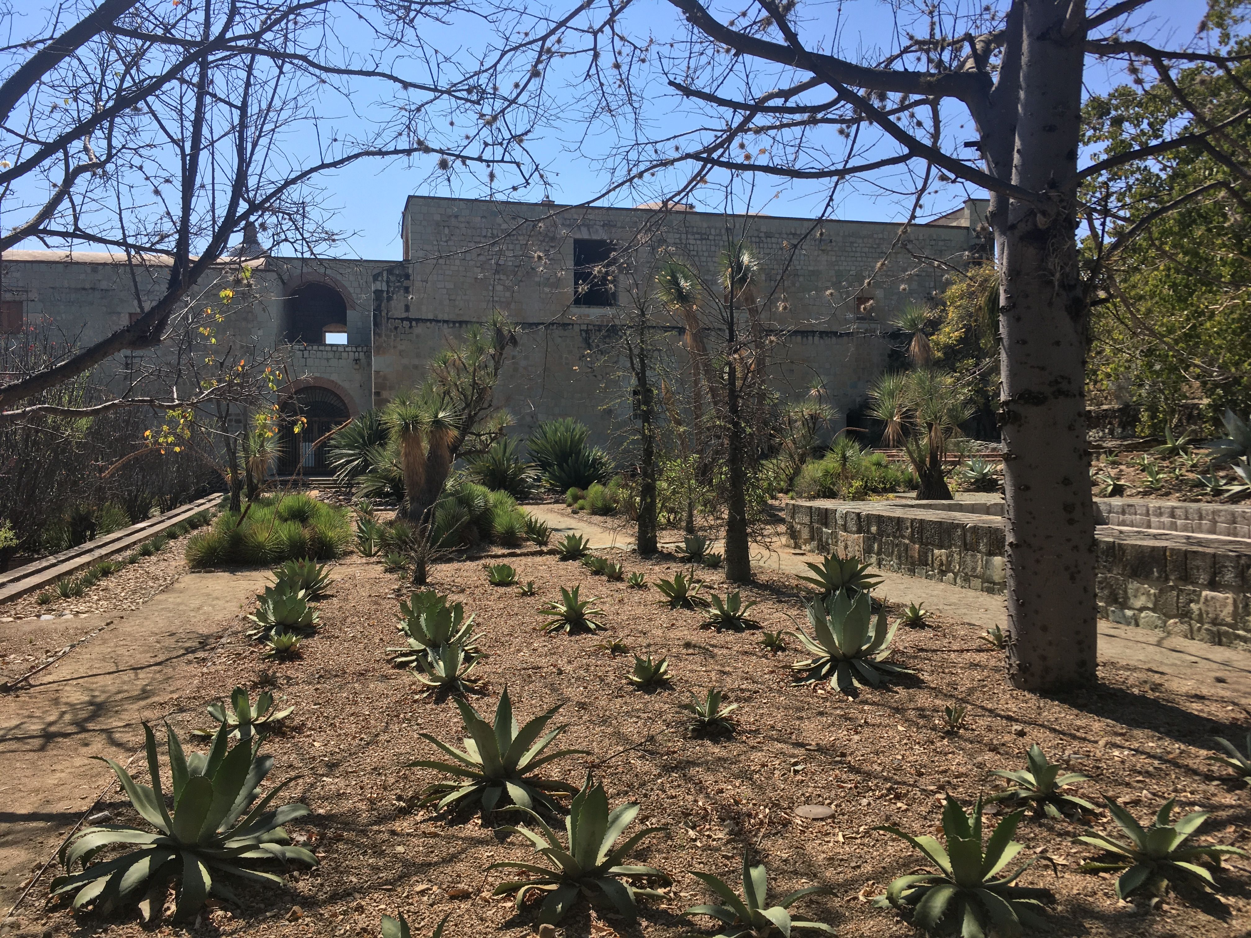 Oaxaca Ethnobotanical Garden: Plan Your Visit