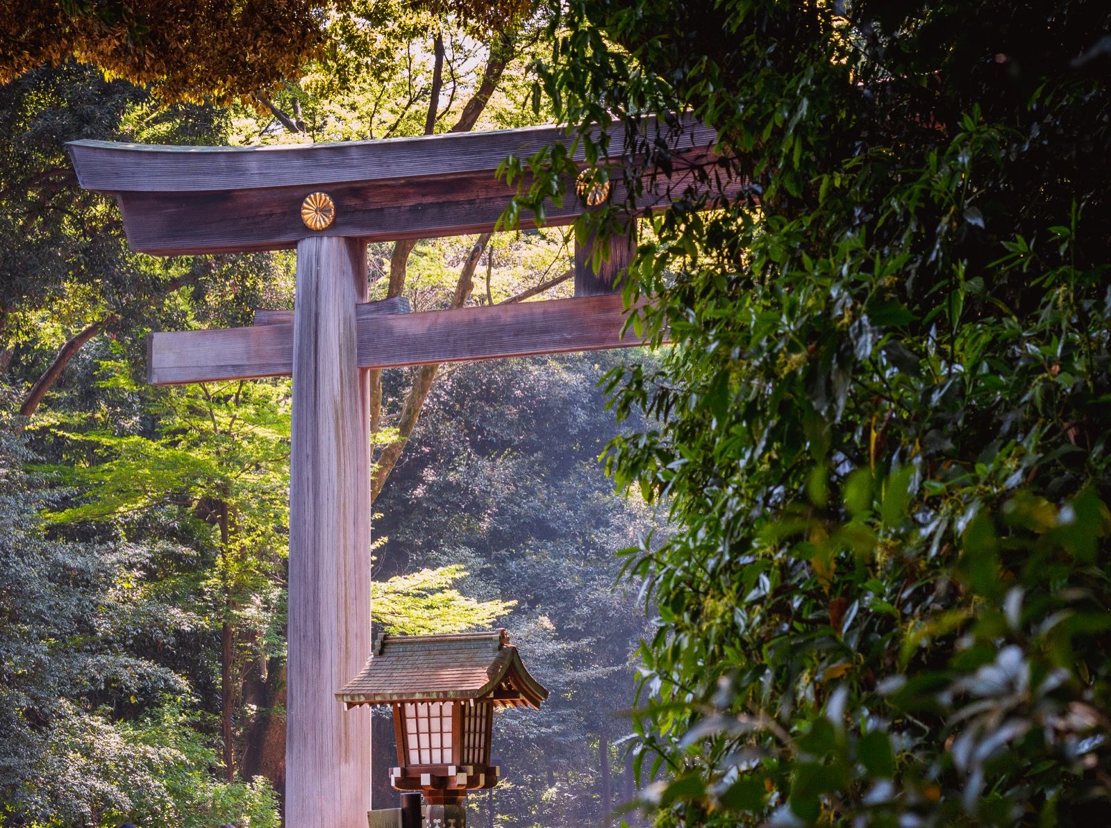 Meiji Jingu : préparer votre visite à Tokyo