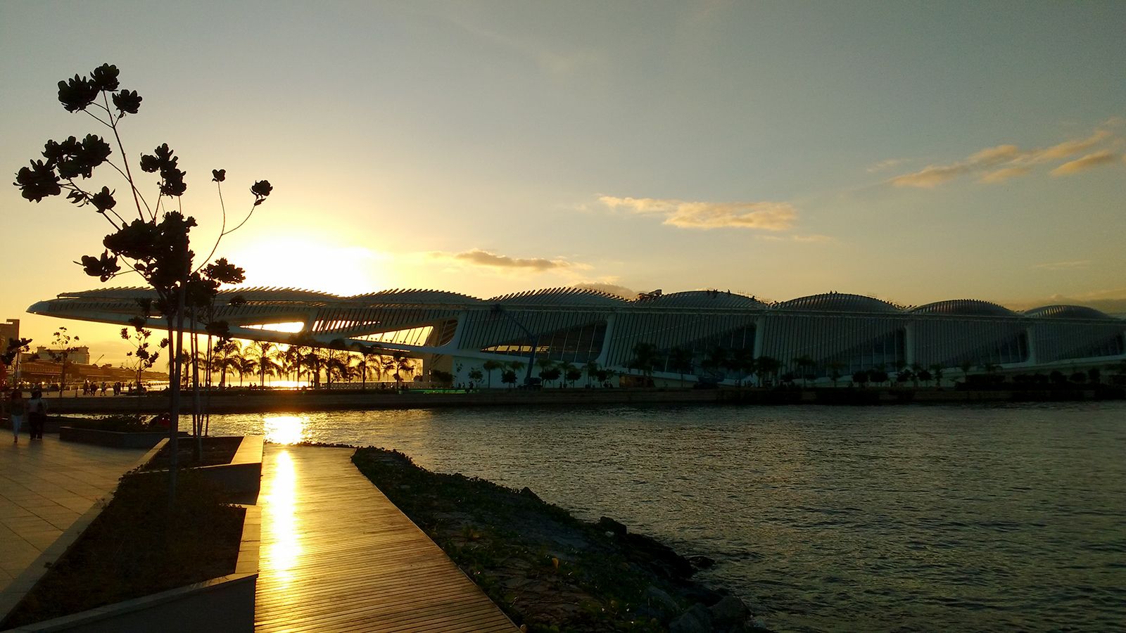 Musée de Demain : préparer votre visite à Rio
