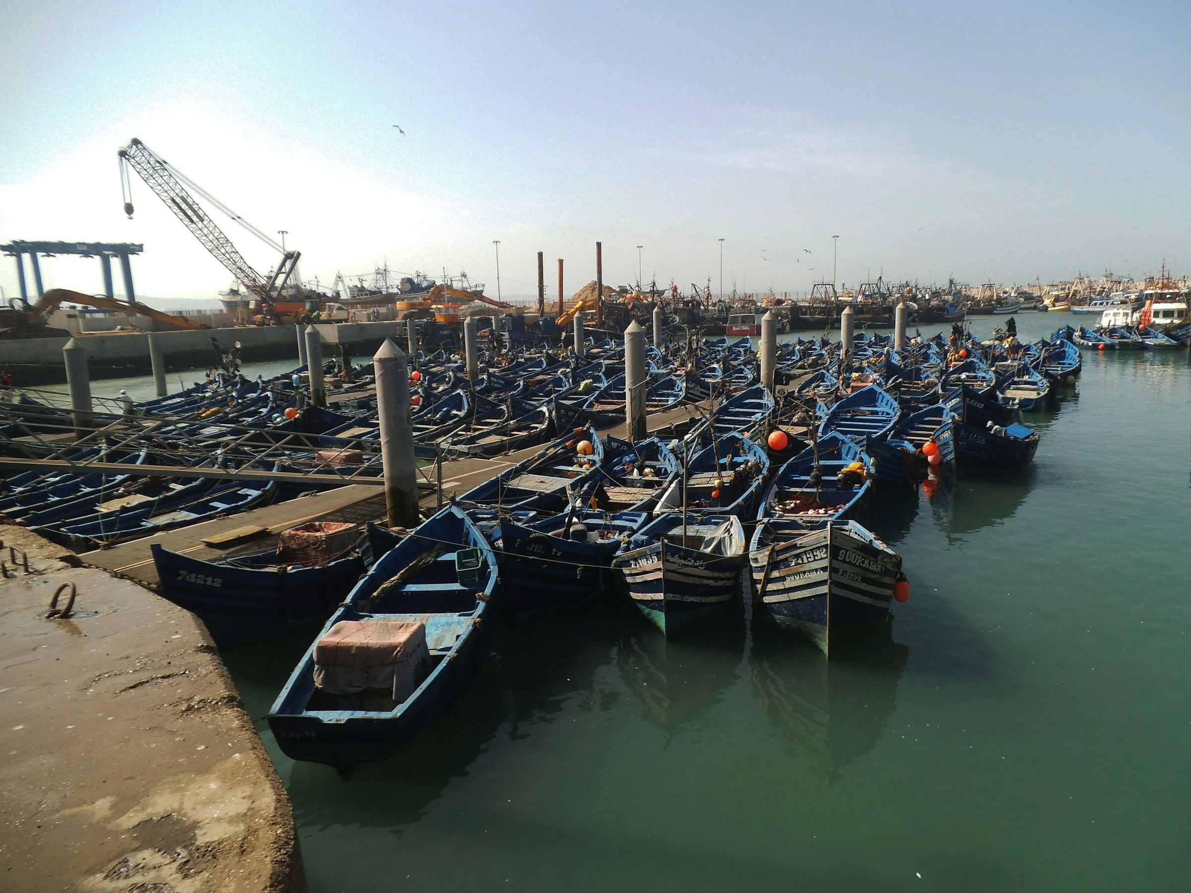 Essaouira da Marrakech: in giornata o con pernottamento?