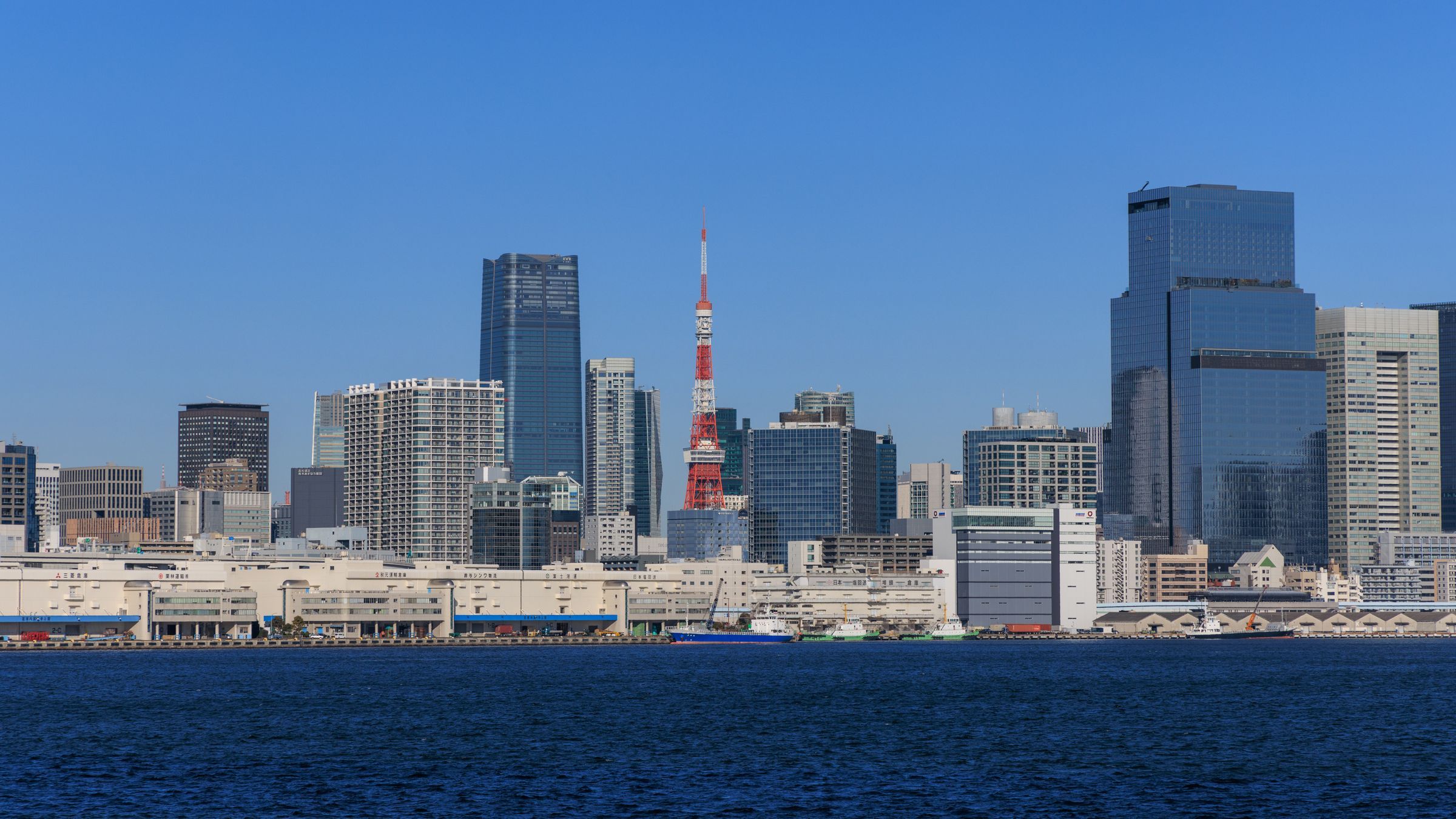 When to Visit Tokyo: Seasons and Trip Planning