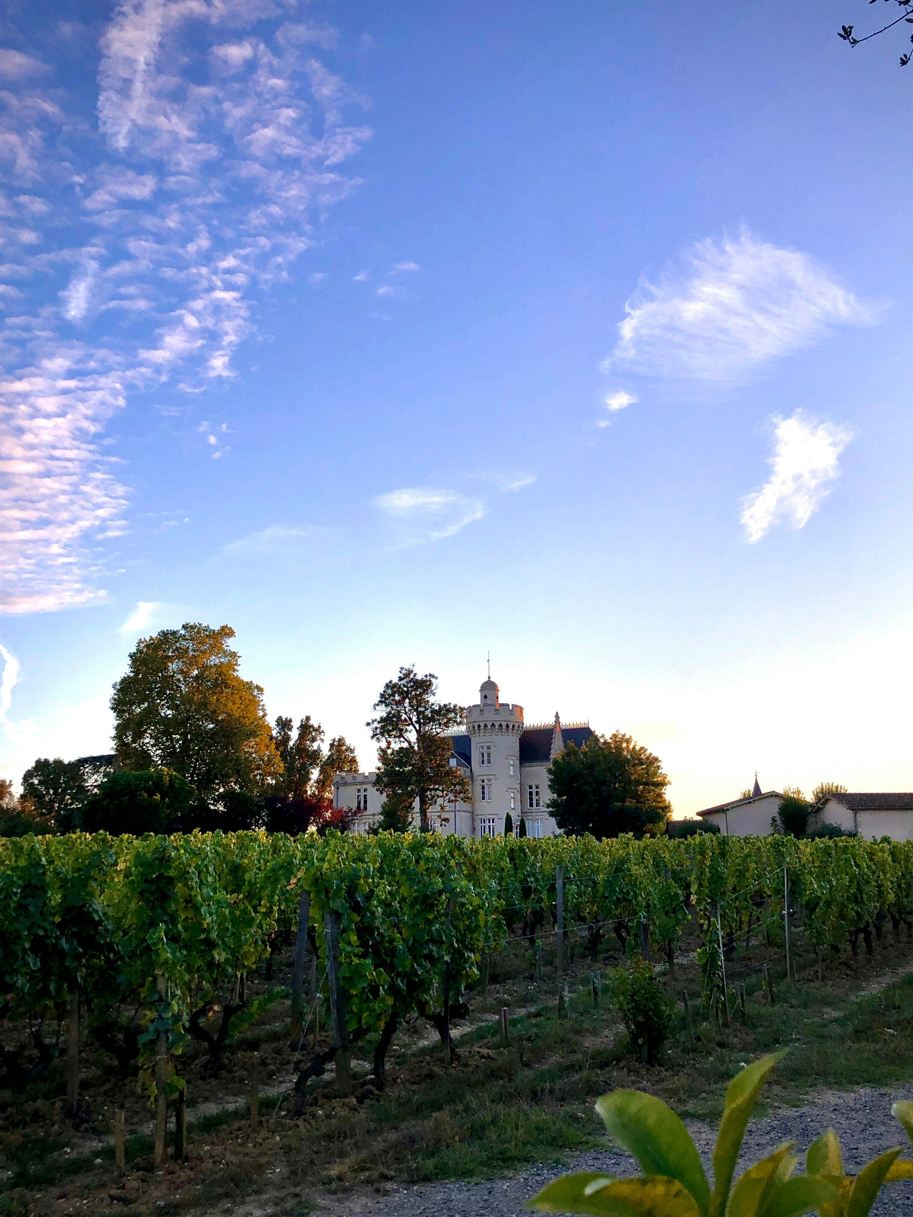 Wine Tourism in France: Bordeaux, Burgundy, Champagne