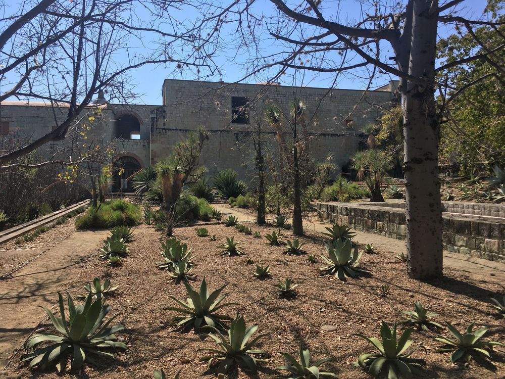 Oaxaca Ethnobotanical Garden: Plan Your Visit