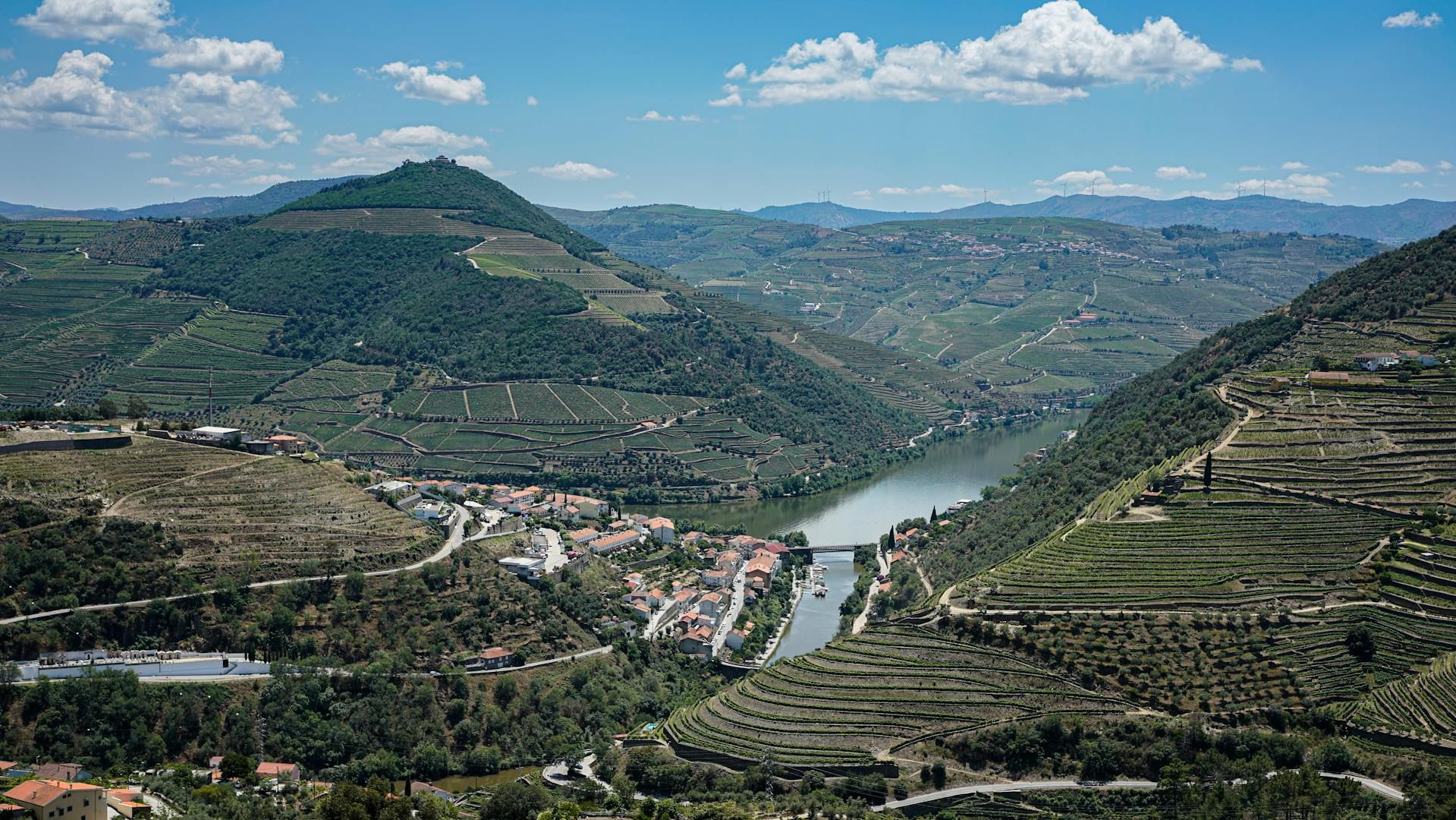 Wine Tourism in Portugal: Douro, Vinho Verde, Alentejo